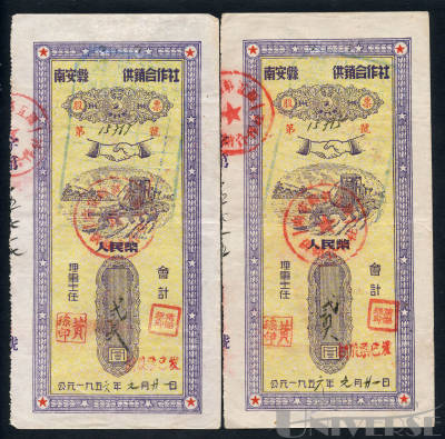 拍品图片