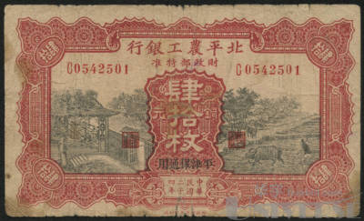 拍品图片
