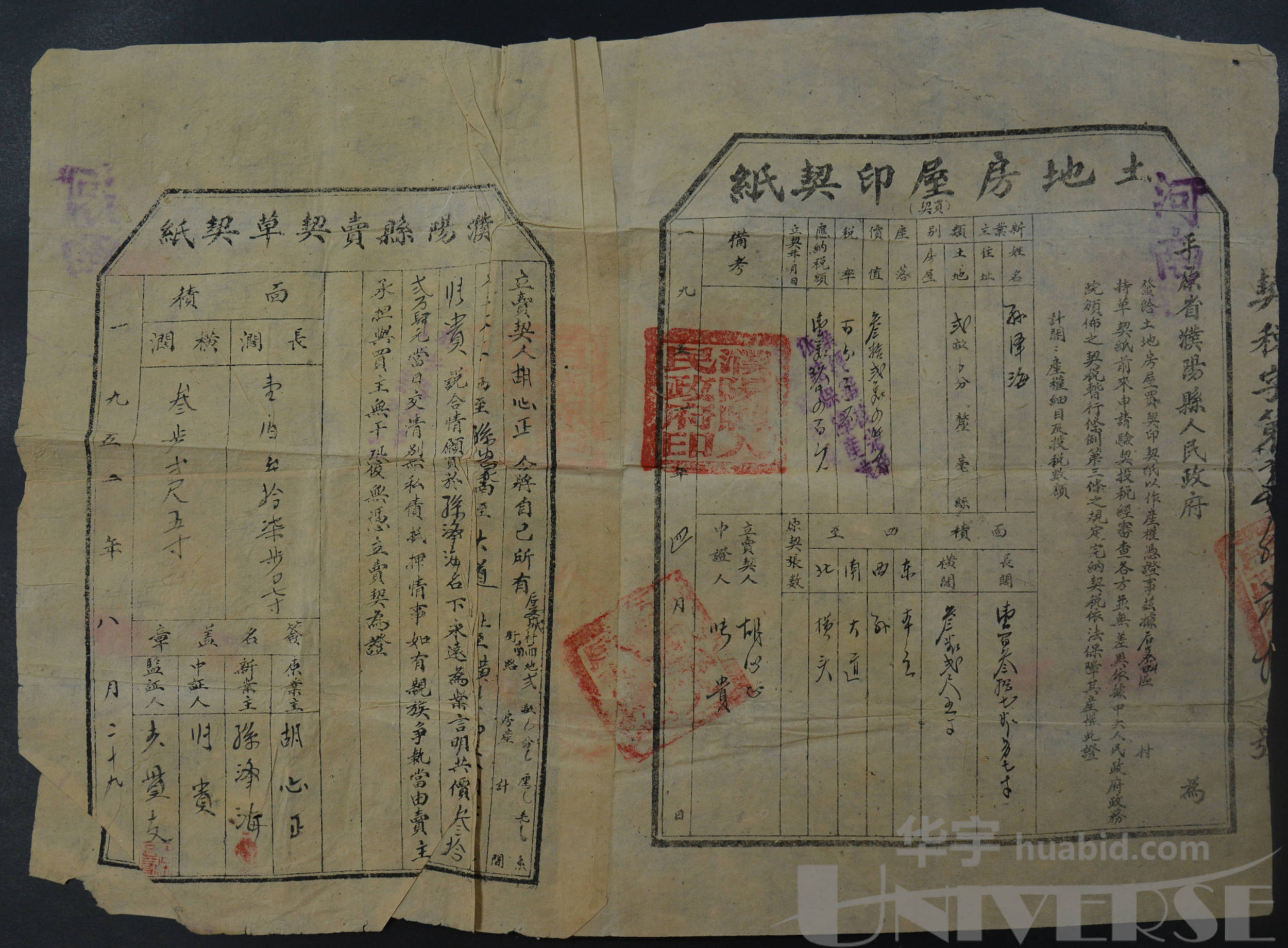 1952年濮阳县卖契草契纸一件,附土地房屋印契纸,约370*520mm