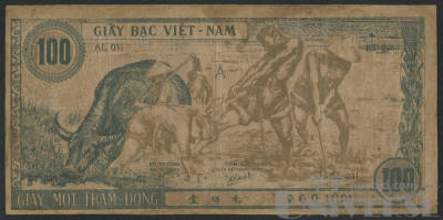 拍品图片