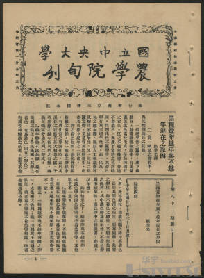 拍品图片