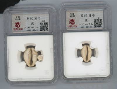 拍品图片