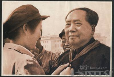 拍品图片