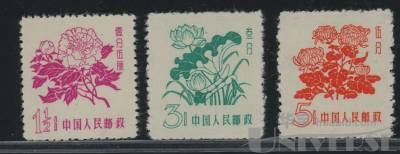 拍品图片