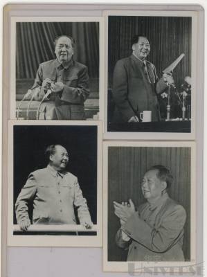 拍品图片