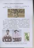 拍品图片