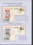 拍品图片