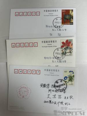 拍品图片