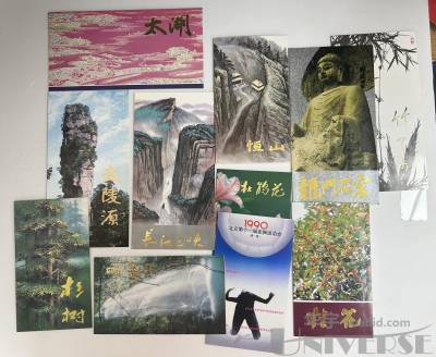 拍品图片