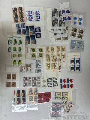 拍品图片