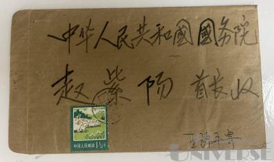 拍品图片