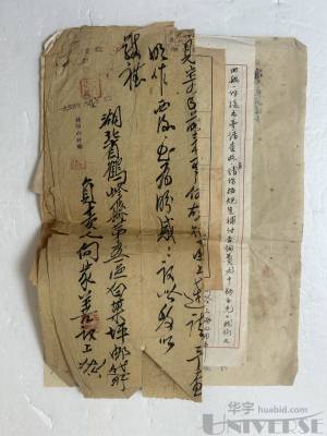 拍品图片