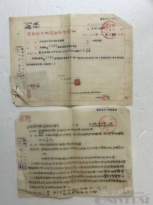 拍品图片