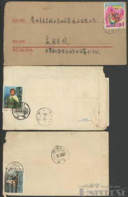 拍品图片