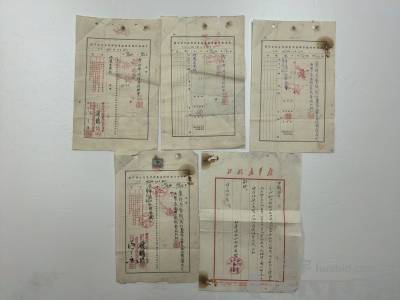拍品图片