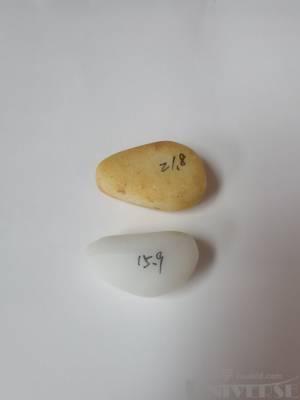 拍品图片