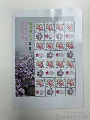 拍品图片
