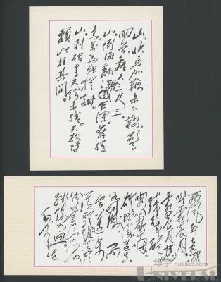 拍品图片