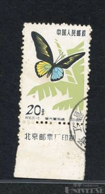 拍品图片