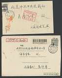 拍品图片