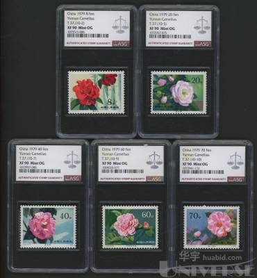 拍品图片