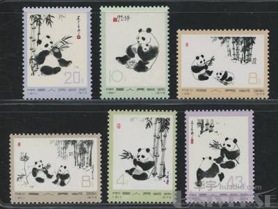 拍品图片