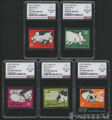 拍品图片