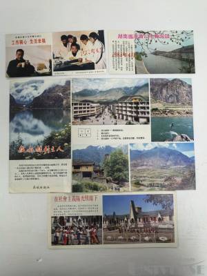 拍品图片