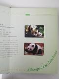 拍品图片