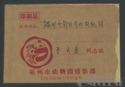 拍品图片