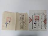 拍品图片