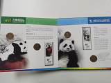 拍品图片