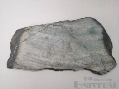 拍品图片