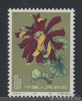 拍品图片