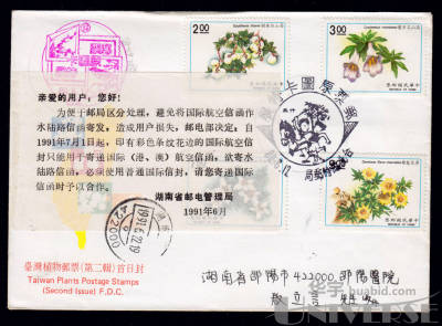 拍品图片