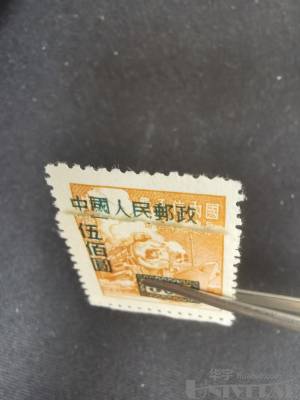 拍品图片