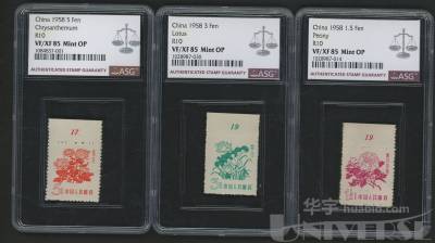 拍品图片