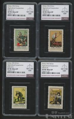 拍品图片