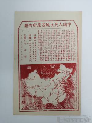 拍品图片