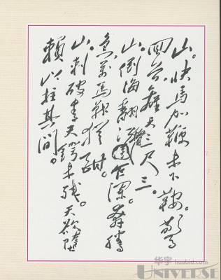 拍品图片