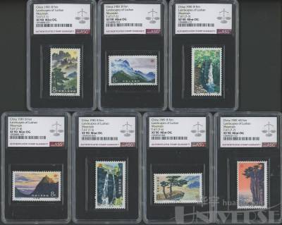 拍品图片